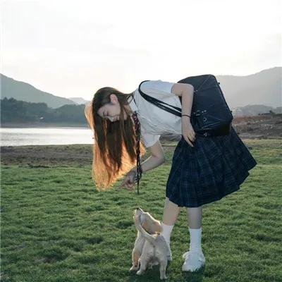 幸运狗狗来造访